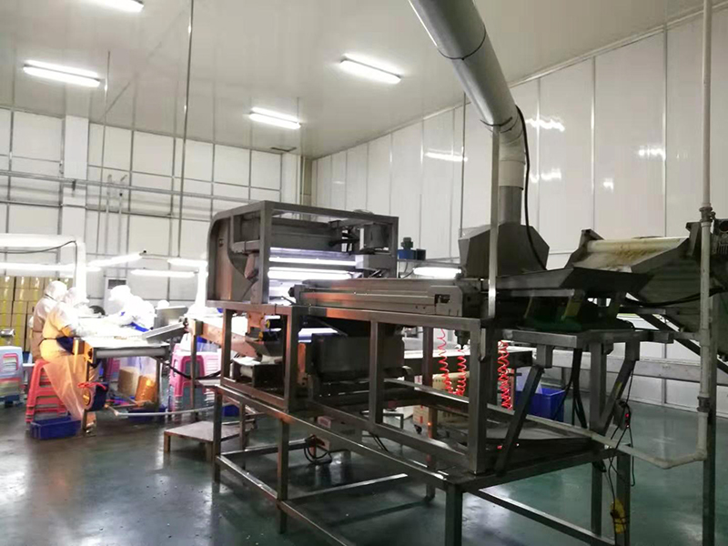 色選機|食品色選機|再生資源色選機|礦石色選機|履帶色選機