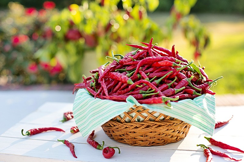 cayenne-pep改.jpg