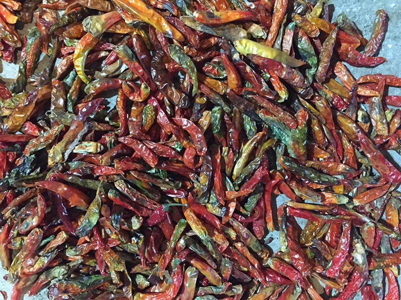 云南宜良辣椒何0283客戶處，下料改.jpg