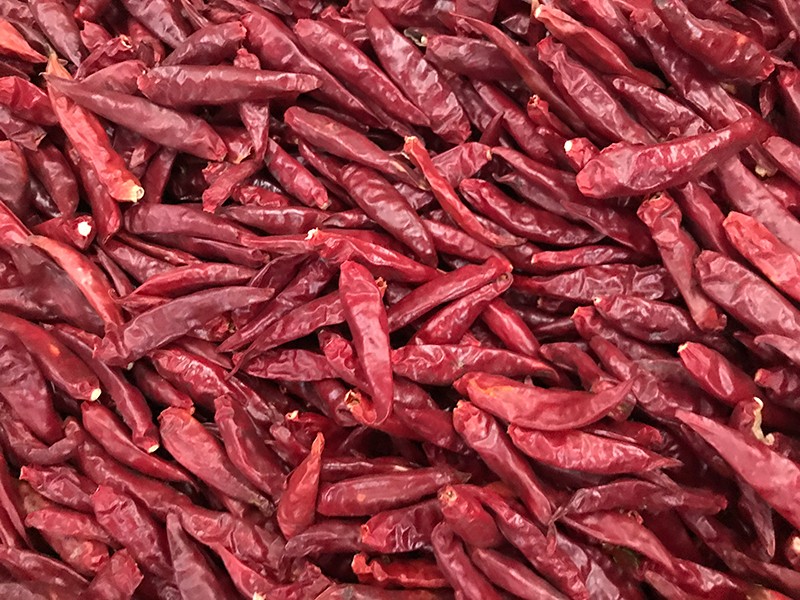 山東金鄉-辣椒-李-3028處，好料改.jpg