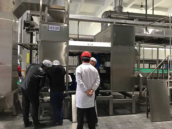 色選機|食品|再生料|礦石|履帶色選機