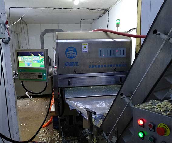 色選機|食品|再生料|礦石|履帶色選機 色選機|食品|再生料|礦石|履帶色選機
