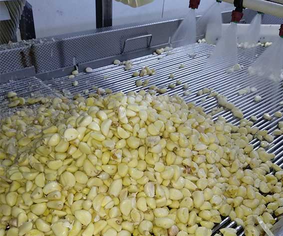 色選機|食品|再生料|礦石|履帶色選機 色選機|食品|再生料|礦石|履帶色選機